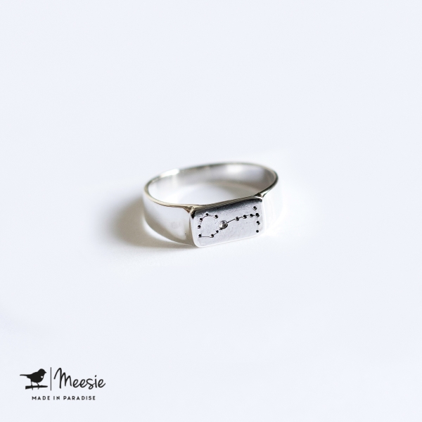 Ring Sterrenbeeld Tweeling zilver Ring Sterrenbeeld Tweeling zilver